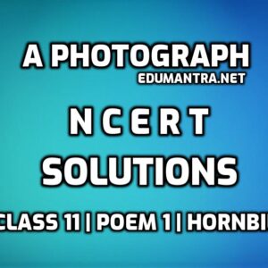 A Photograph Class 11 NCERT Solutions edumantra.net