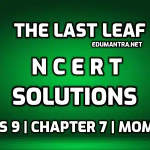 NCERT Solutions for The Last Leaf edumantra.net