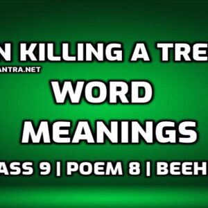 On Killing a Tree Word Meaning with Hindi edumantra.net