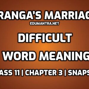 Ranga's Marriage Class 11 Word Meaning edumantra.net