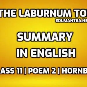 Summary of The Laburnum Top edumantra.net