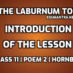 The Laburnum Top Introduction Class 11 edumantra.net