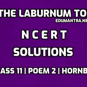 The Laburnum Top NCERT Solutions edumantra.net