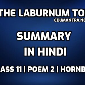 The Laburnum Top Summary in Hindi edumantra.net