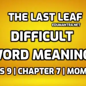 The Last Leaf Class 9 Word Meaning edumantra.net
