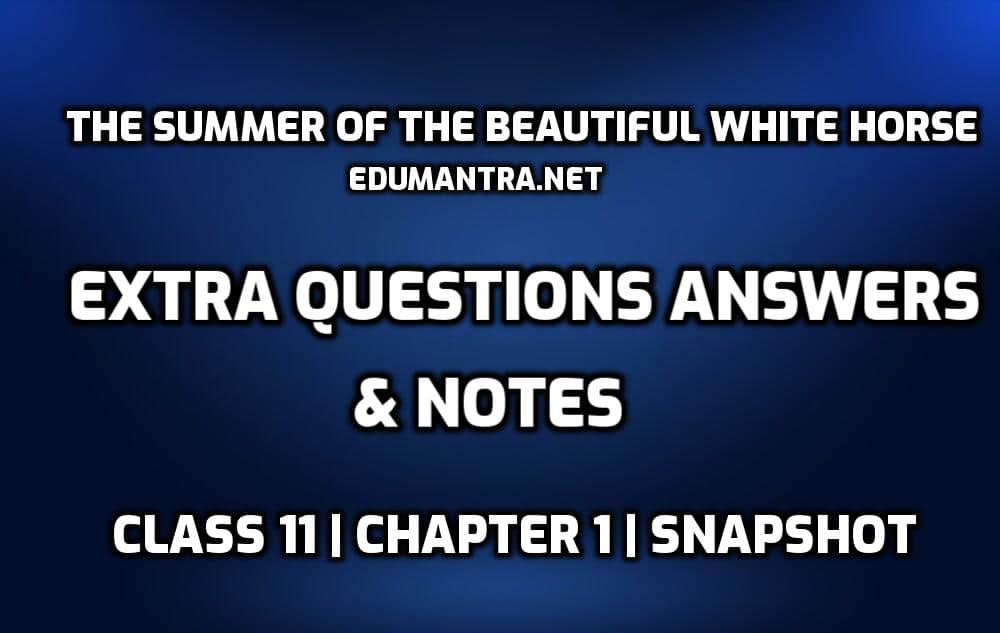 The Summer of The Beautiful White Horse Extra Questions Answers edumantra.net