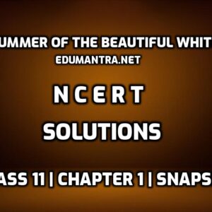 The Summer of the Beautiful White Horse NCERT Solutions edumantra.net
