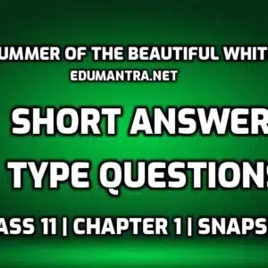 The Summer of the Beautiful White Horse Short Question Answers edumantra.net