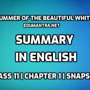 The Summer of the Beautiful White Horse Summary in English edumantra.net