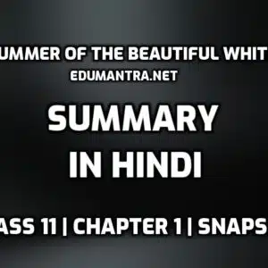 The Summer of the Beautiful White Horse Summary in Hindi edumantra.net