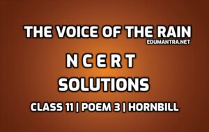 The Voice of the Rain NCERT Solutions edumantra.net