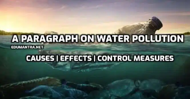 A Paragraph on Water Pollution