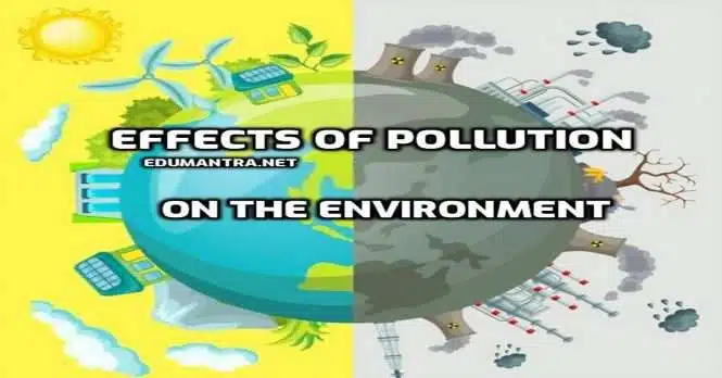Menacing Effects of Pollution