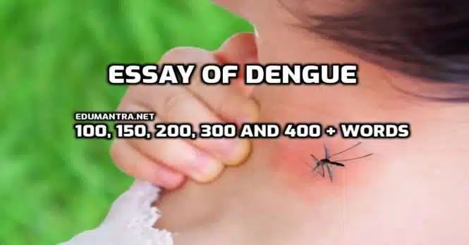 Essay of Dengue