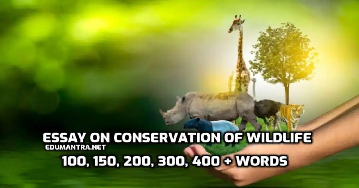 Essay on Conservation of Wildlife