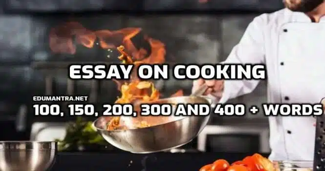 Essay on Cooking