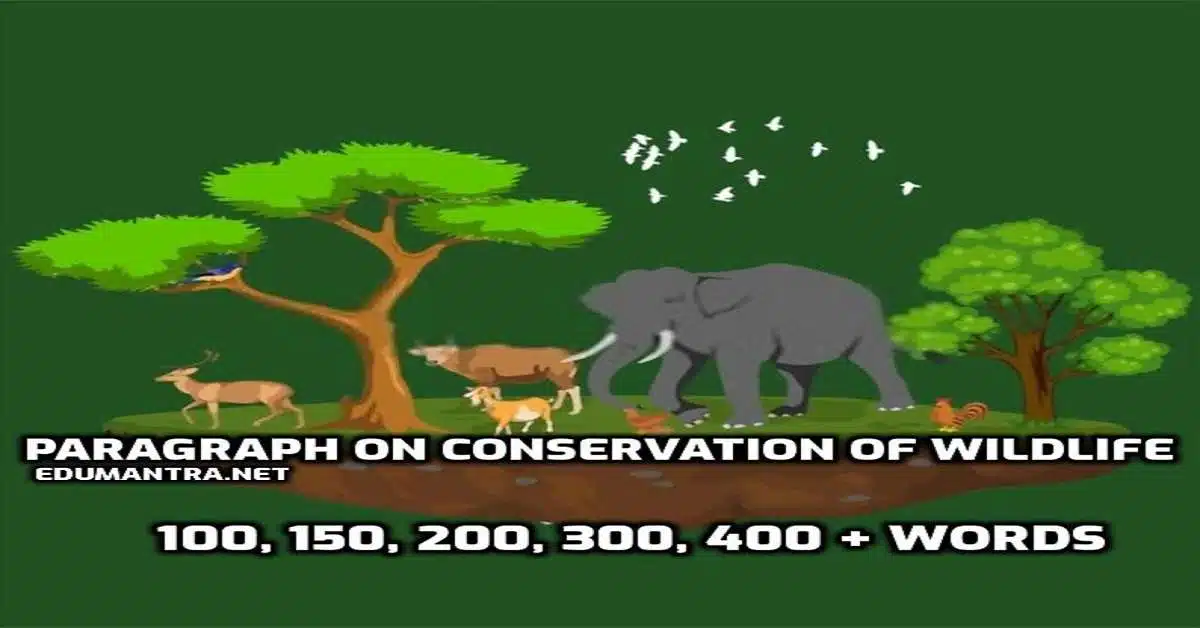 Paragraph on Conservation of Wildlife