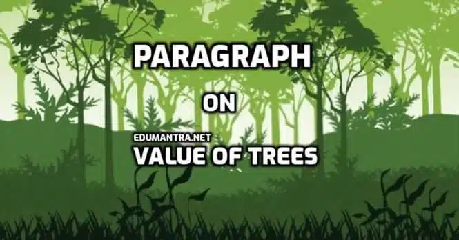 paragraph on value of trees