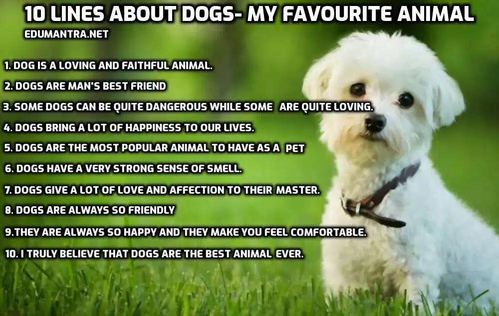10 Lines about Dogs- My Favourite Animal edumantra.net