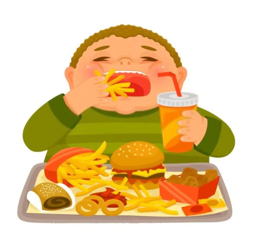 Essay on Fast Food and Obesity edumantra