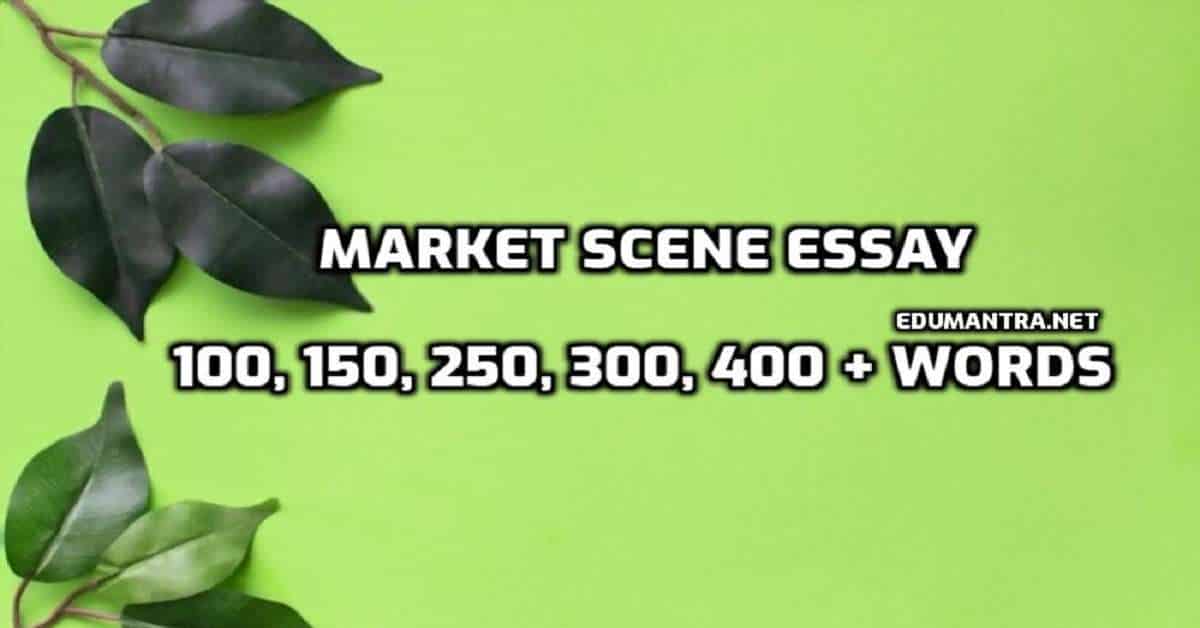 write an essay on the topic a market scene