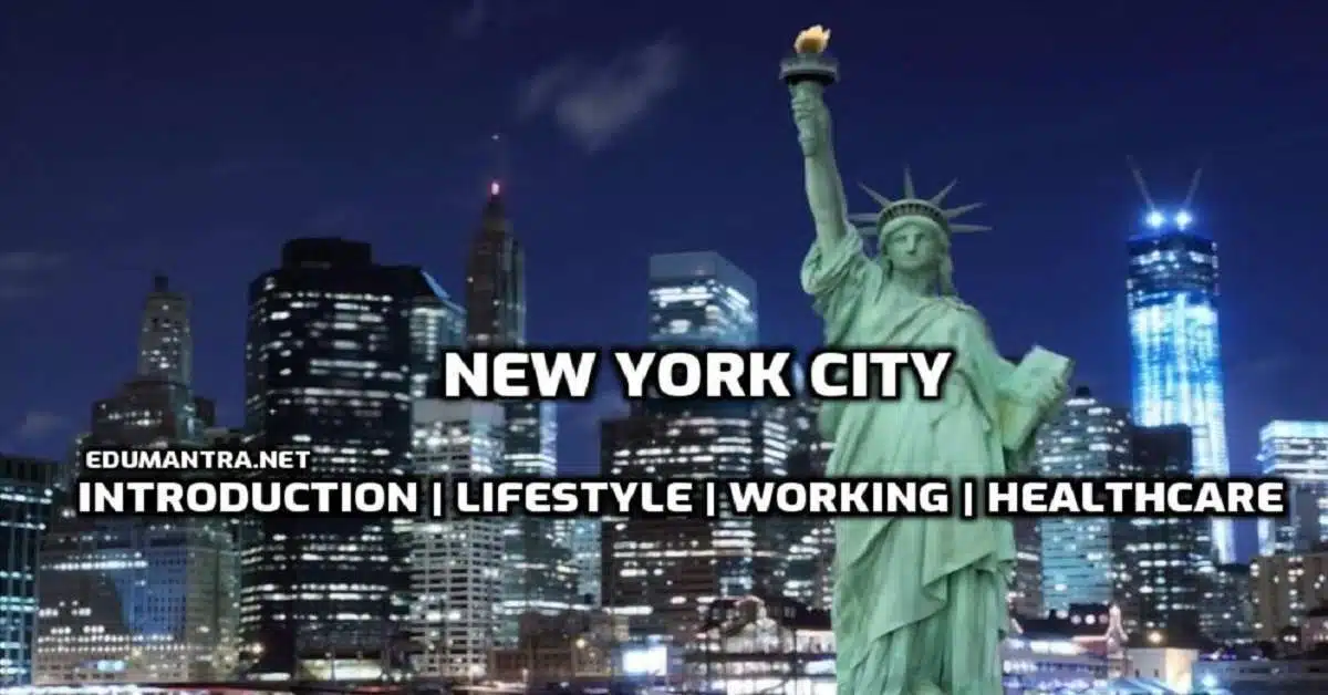 essay on new york city life edumantra.net