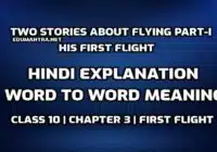 Two Stories About Flying Part-I Hindi Explanation edumantra.net