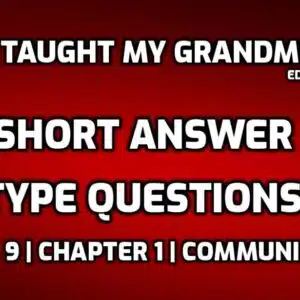 How I Taught My Grandmother Short Question | 30 to 40 Words