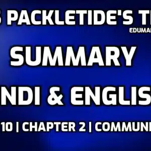 Mrs Packletide Tiger Summary edumantra.net