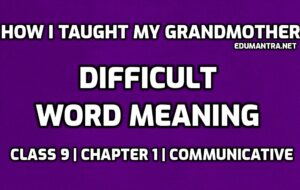 Word Meaning of How I taught My Grandmother to Read edumantra.net