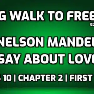 What did Nelson Mandela say about Love?