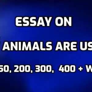 Essay on How Animals Are Useful edumanta.net