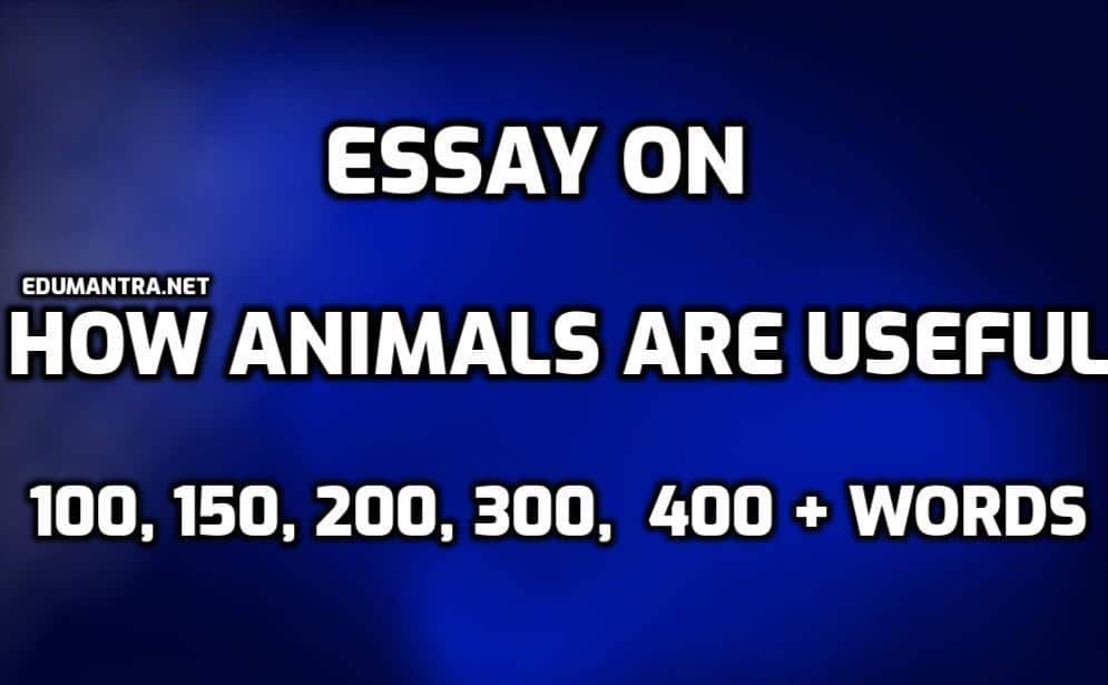 Essay On How Animals Are Useful To Us For School And College Students