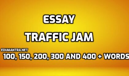 Essay on Traffic Jam edumantra.net