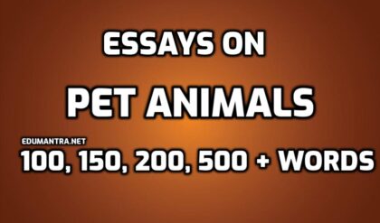Essays on Pet Animals edumantra.net