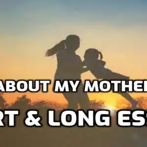 About My Mother Essay edumantra.net