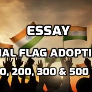 Essay on National Flag Adoption Day edumantra.net