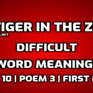 A Tiger in the Zoo Word Meaning with Hindi edumantra.net