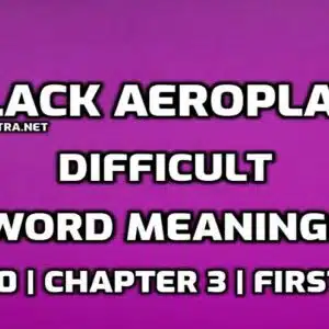 Black Aeroplane Word Meaning with Hindi edumantra.net