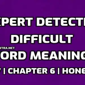 Expert Detectives Word Meaning with Hindi edumantra.net