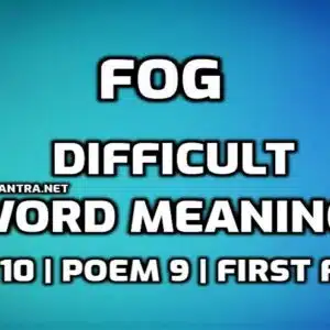 Fog Word Meaning with Hindi edumantra.net