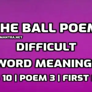 The Ball Poem Word Meaning with Hindi edumantra.net