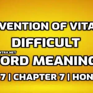 The Invention of Vita Wonk Word Meaning with Hindi edumantra.net