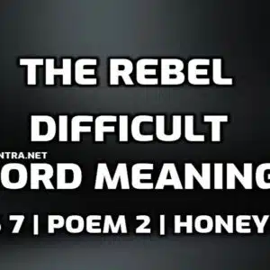 The Rebel Word Meaning with Hindi edumantra.net
