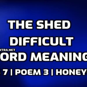Hard Words : The Shed Difficult Words in English with Hindi Meaning