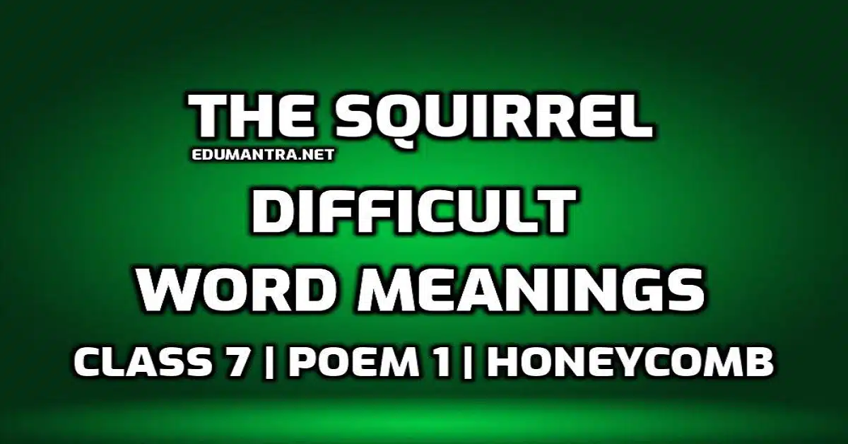 The Squirrel Word Meaning with Hindi edumantra.net