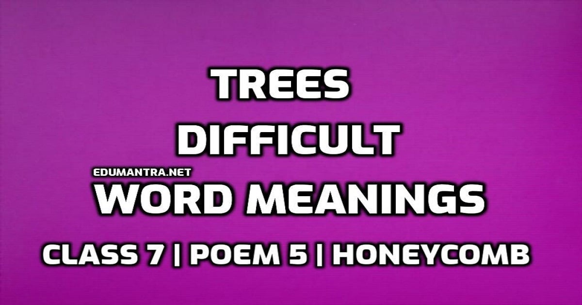Trees Word Meaning with Hindi edumantra.net