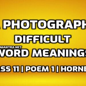 A Photograph Word Meaning with Hindi edumantra.net