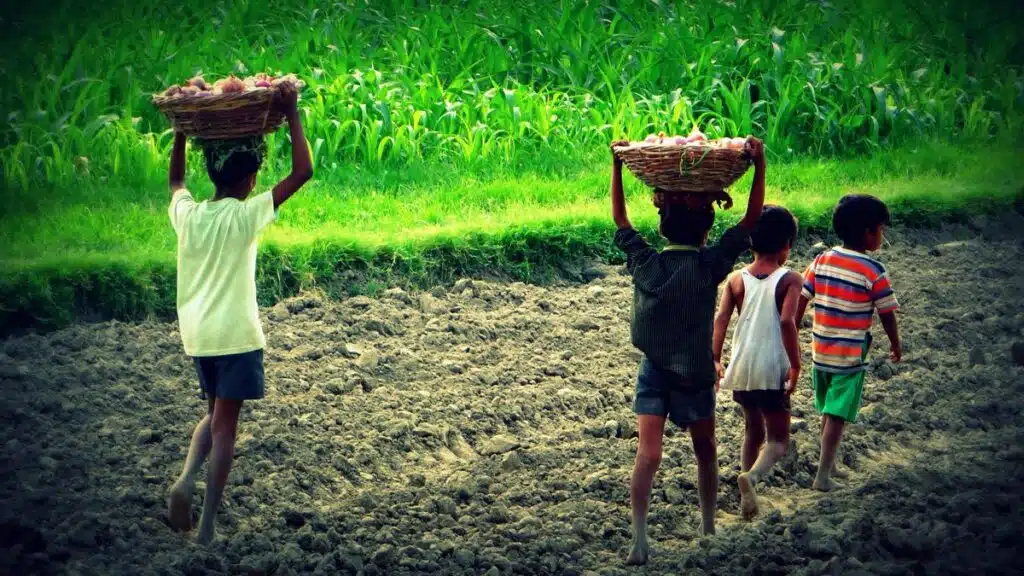 Effects of Child Labour on Children edumantra.net