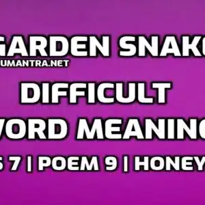 Garden Snake Word Meaning with Hindi edumantra.net